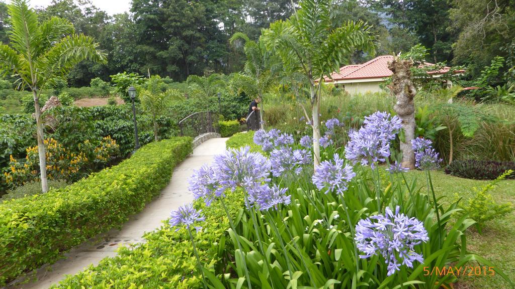 Hotel Boutique La Casona Del Cafetal Cachi Экстерьер фото